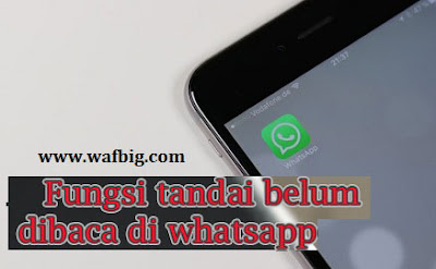 Apa Fungsi Tandai Belum Dibaca di WA Atau Whatsapp