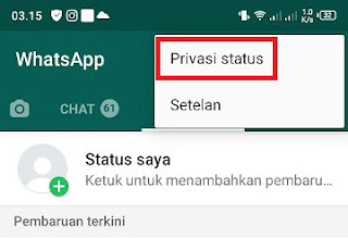 Cara Membuat Status Di WA Agar Tidak Terlihat Orang Lain