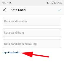 cara mengetahui email instagram kita sendiri