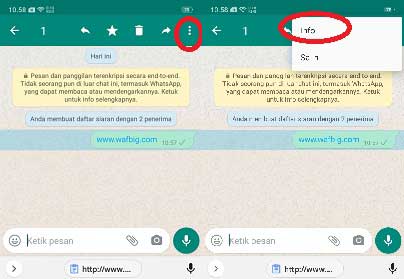 Cara Mengetahui Pesan Siaran WA Sudah Dibaca atau Belum