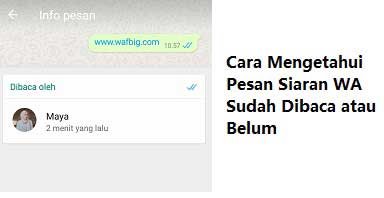 Cara Mengetahui Pesan Siaran WA Sudah Dibaca atau Belum
