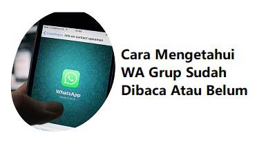 Cara Mengetahui WA Grup Sudah Dibaca