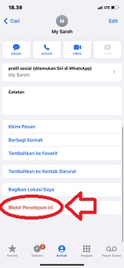 Cara Membuat Panggilan WA Tidak Tersedia