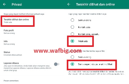 Cara Agar WA Terlihat Offline Padahal Online