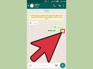 Cara whatsapp centang satu tapi online tanpa aplikasi