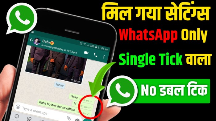 Cara whatsapp centang satu tapi online tanpa aplikasi