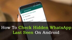 Cara melihat last seen whatsapp yang disembunyikan tanpa aplikasi