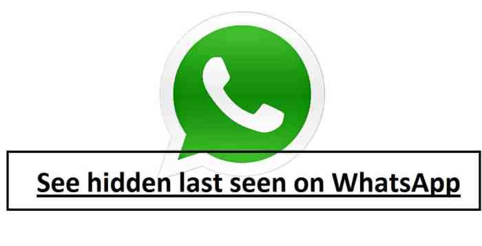 Cara melihat last seen whatsapp yang disembunyikan tanpa aplikasi